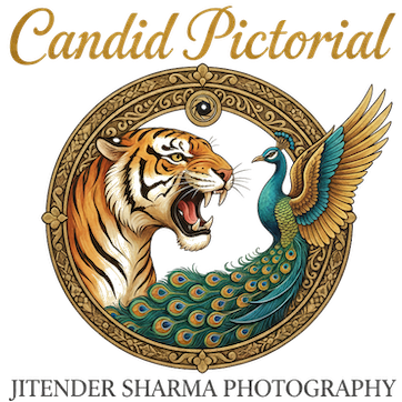 Candid Pictorial